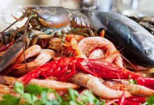 透过饮食增加免疫力 营养师分享5种优质营养素-资源分享网