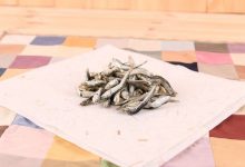 补钙不需狂喝牛奶! 这些食物也富含钙质-资源分享网