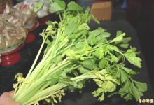 中医看高血压分3类 多吃这2种食物降血压-资源分享网