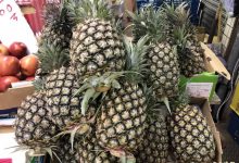 吃凤梨正着时! 农粮署传授3招挑选诀窍-资源分享网