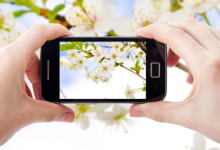 大冤种什么意思-资源分享网