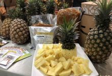 端午吃粽配凤梨助消化 农粮署直授4步骤切出网美凤梨船-资源分享网