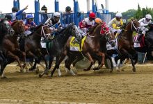 1人跑赢50匹马!英国消防员36公里越野赛摘冠-资源分享网