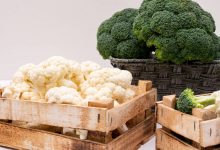 脑雾不担心！ 医激推5大食材：助大脑活化还护心-资源分享网