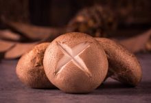 菇菇知多少 营养师揭密6种菇类的营养含量-资源分享网