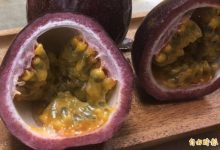 排便不顺只知求助香蕉？ 营养师列10种水果纤维质大评比-资源分享网