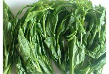 落葵为何又称皇宫菜？ 农粮署解谜兼报好康-资源分享网