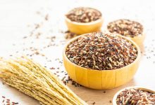 怕胖不吃饭 营养师：减醣不成反吃进更多热量-资源分享网