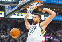 灰狼迎来戈贝尔 组超强双塔-资源分享网