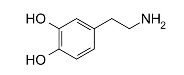 手机将影响体内的多巴胺和皮质醇